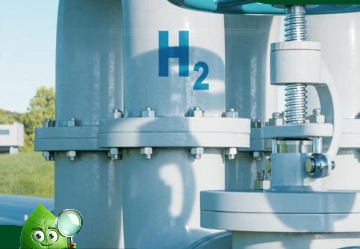 Green Hydrogen Production Equipment Market An Emerging Frontier in Clean Energy